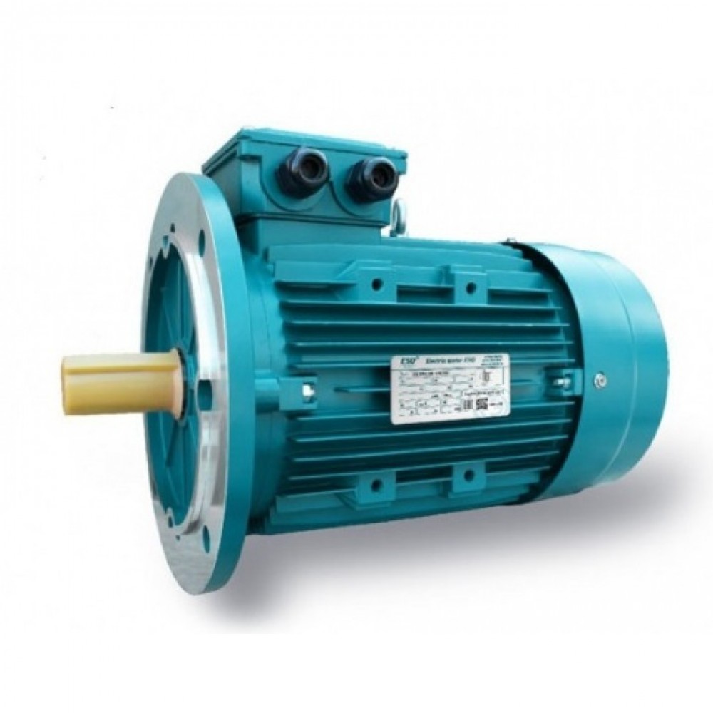 �������� ����������������  DIN ESQ 100LA4-SDN-2.2/1500 �� �������� ������-