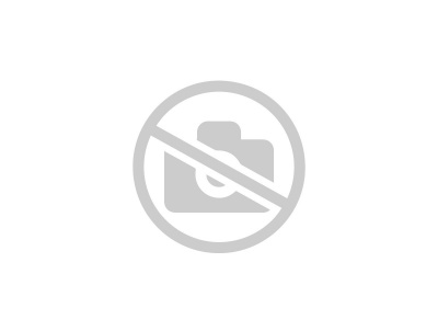 �������� ���������������� 5�� 355 L10 �� �������� ������-