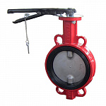 ������ �������� � ����������� ������ � ����������� EPDM �� 150 PN 16 ������, Seagull